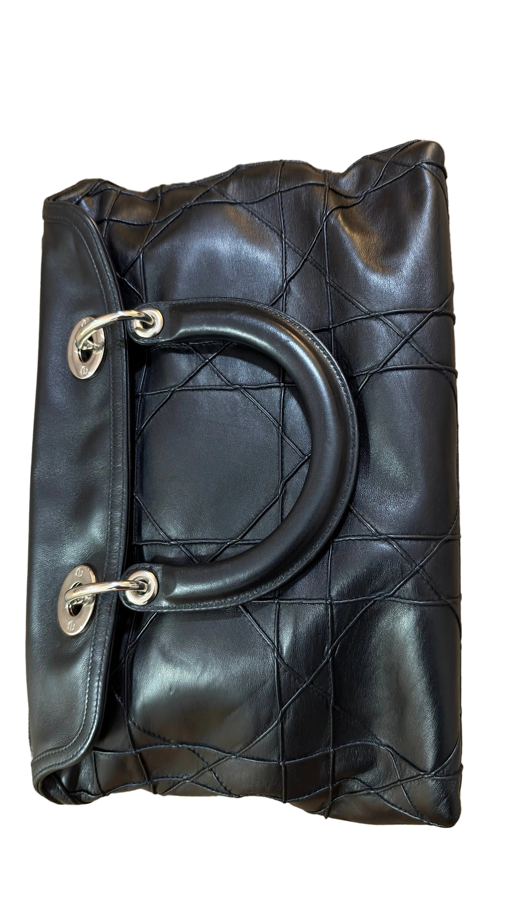Dior Granville Détail Pony Leo