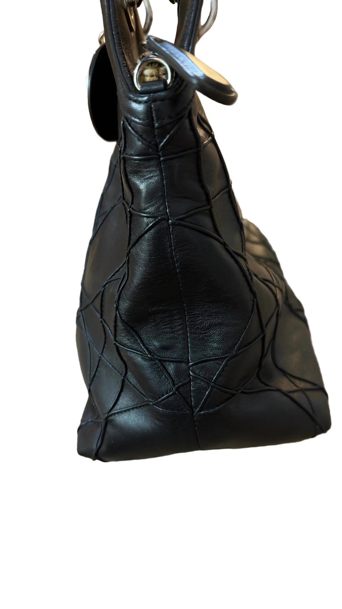 Dior Granville Détail Pony Leo