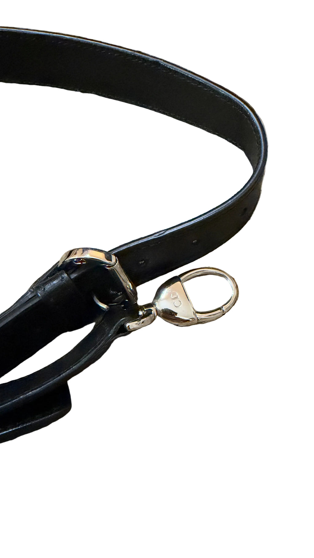 Dior Granville Détail Pony Leo