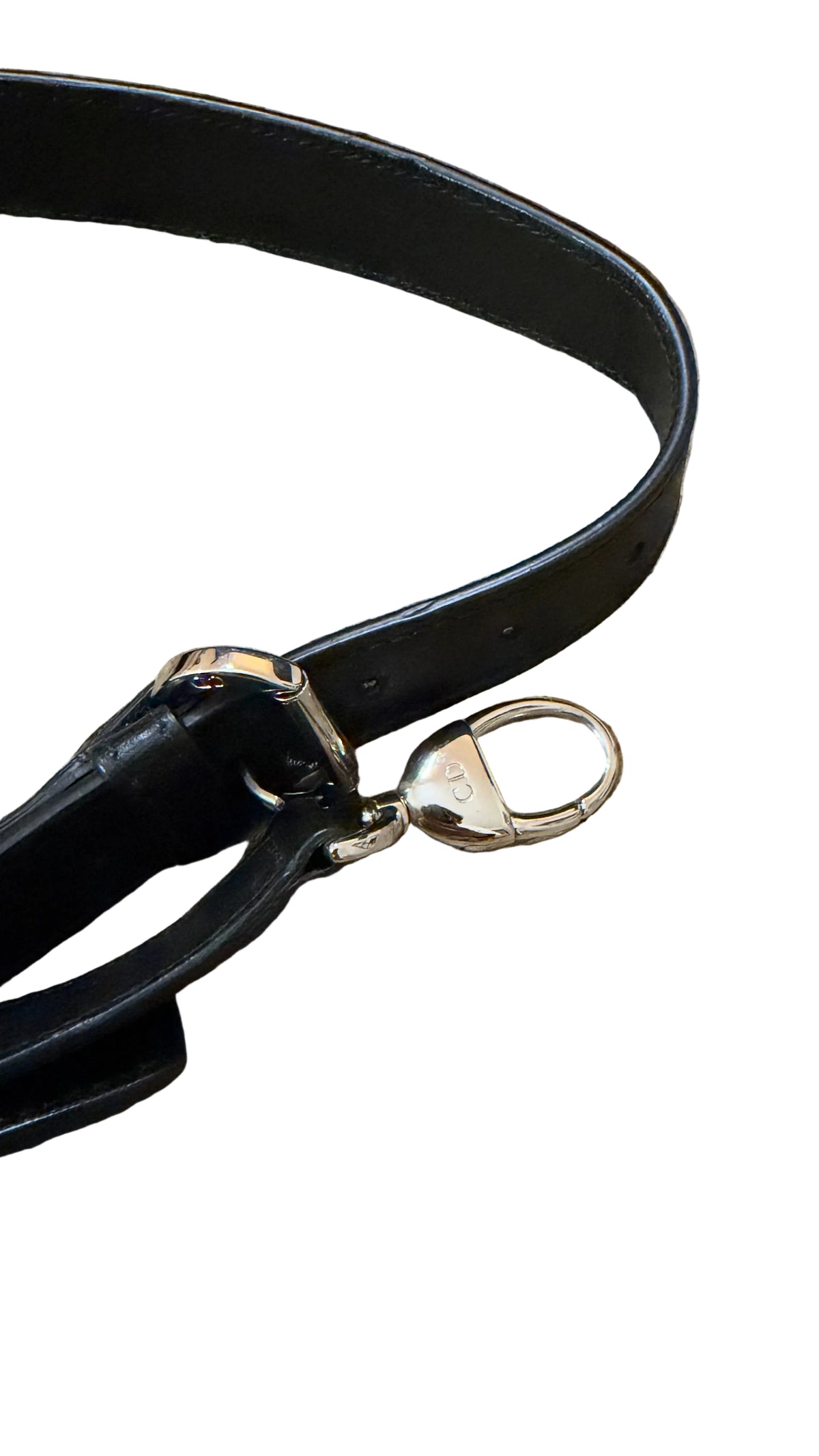 Dior Granville Détail Pony Leo